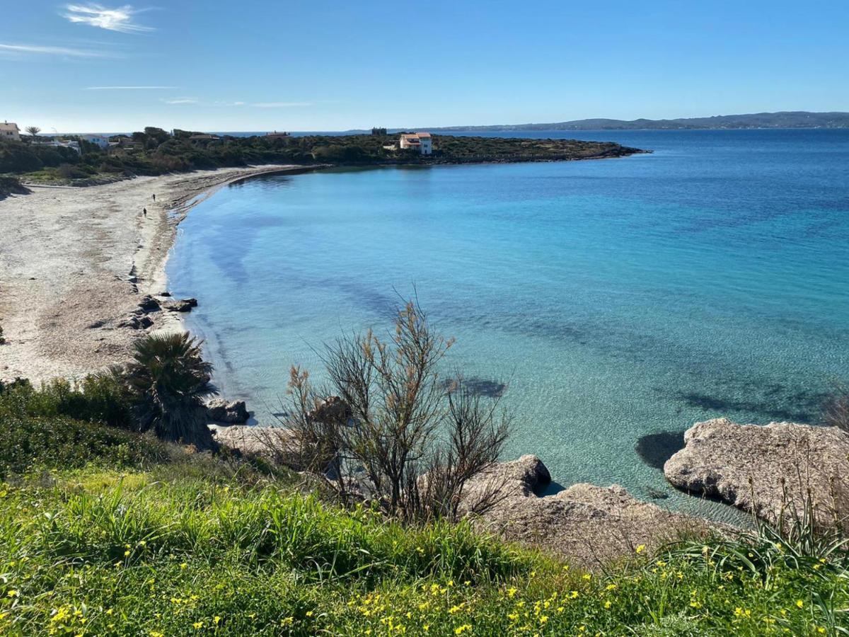 I Fenicotteri - Appartamenti Sul Mare Calasetta Exterior foto